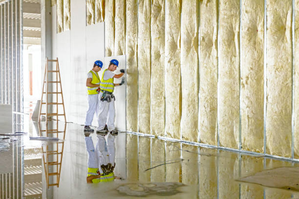 Best Spray Foam Insulation in New Madrid, MO